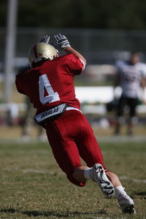 华体会app安装-袋鼠队以全面防守为基础，确保进攻效率，袋鼠选手